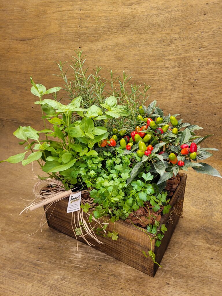 Horta na base de Madeira