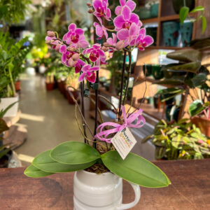 Mini Orquídea decorada Jarro de Cerâmica - Cod. 72228 R$ 216,90