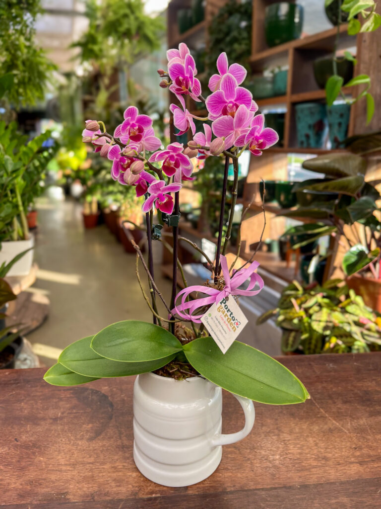 Mini Orquídea decorada Jarro de Cerâmica - Cod. 72228 R$ 216,90