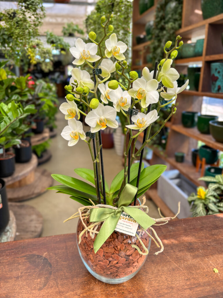 Mini Orquídea decorada na Vidro - Cod. 72466 R$ 214,90