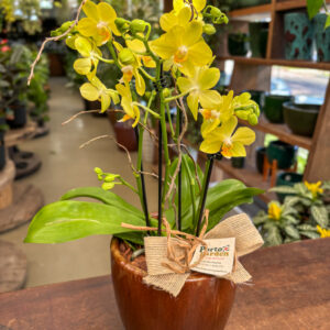 Mini Orquídea decorada na Base de Cerâmica - Cod. 72464 R$ 279,90