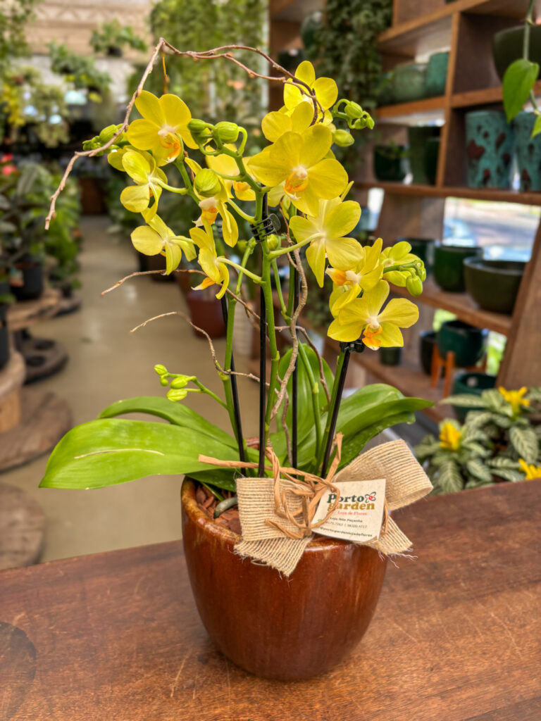 Mini Orquídea decorada na Base de Cerâmica - Cod. 72464 R$ 279,90